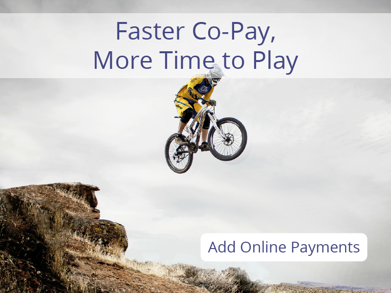 Online Payments Feature