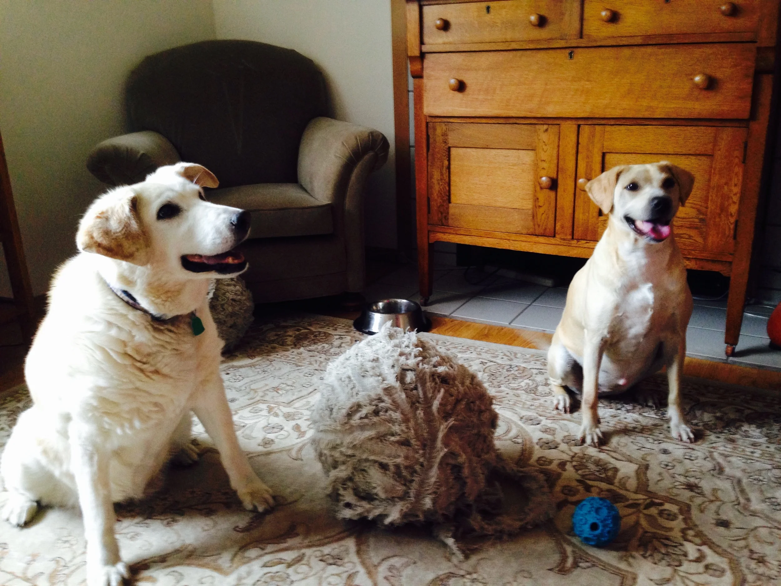 "I'm going for the yarn!"
