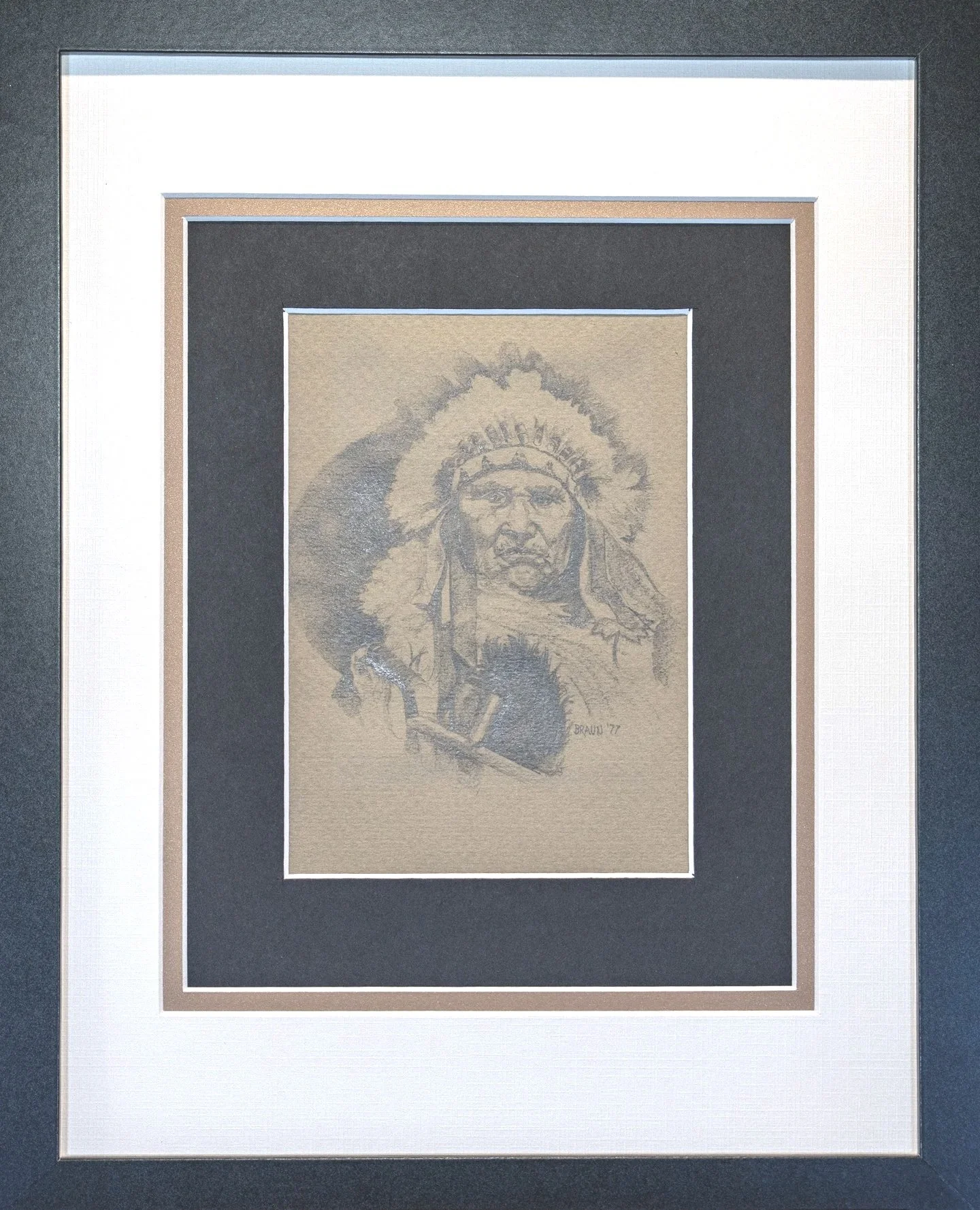 Forgotten Indian Chief