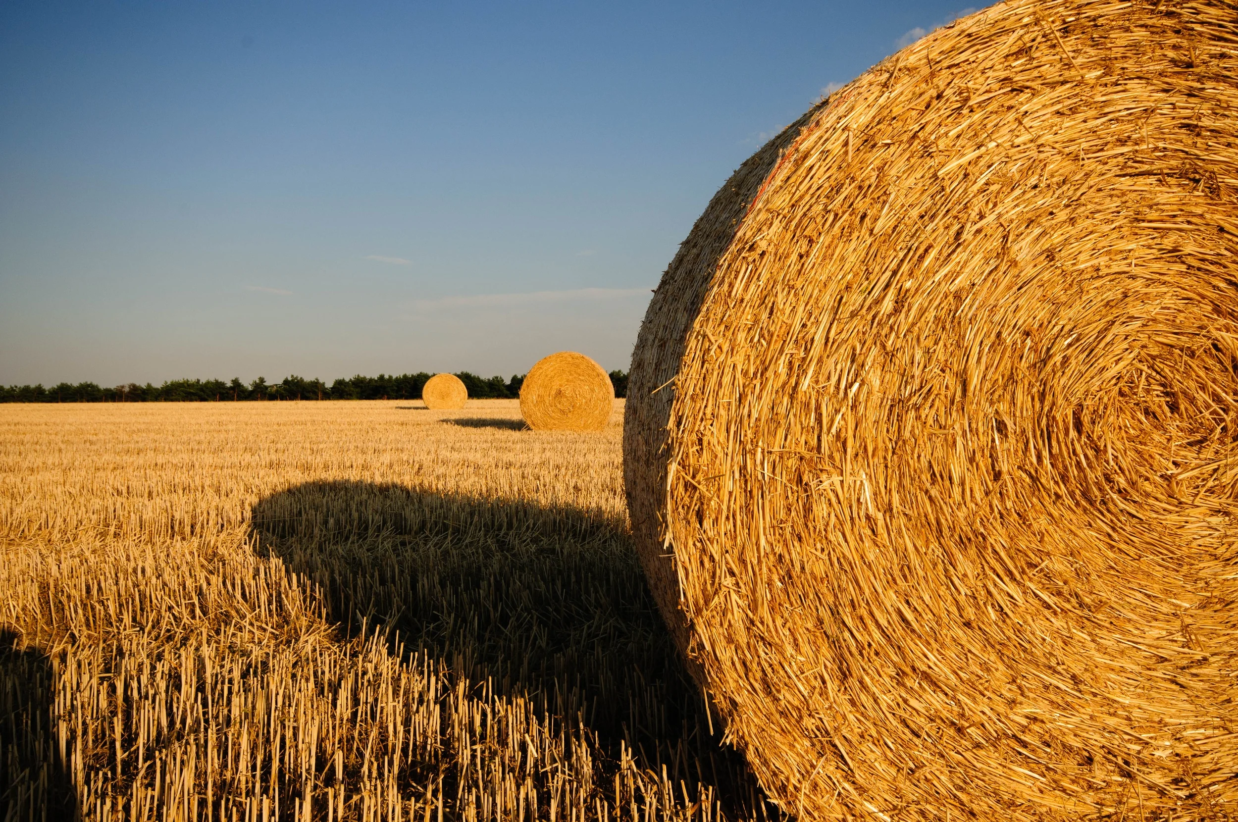straw-bales-stubble-summer-straw.jpg