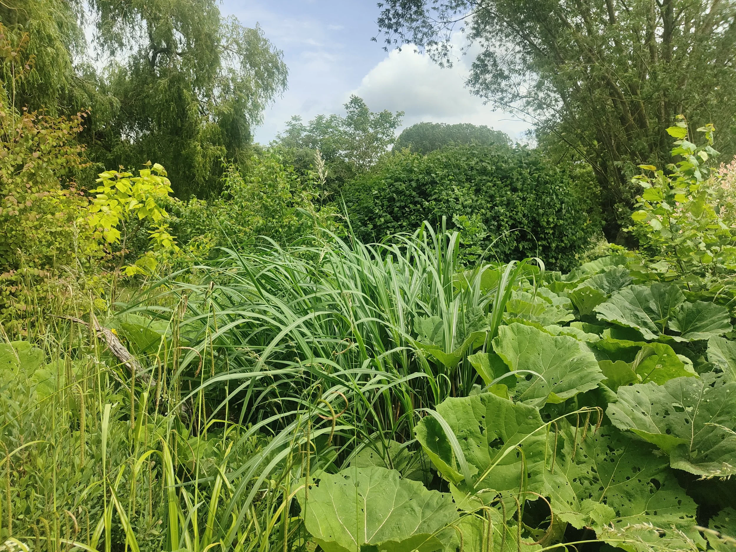 IMG20250601141238 conv.jpeg