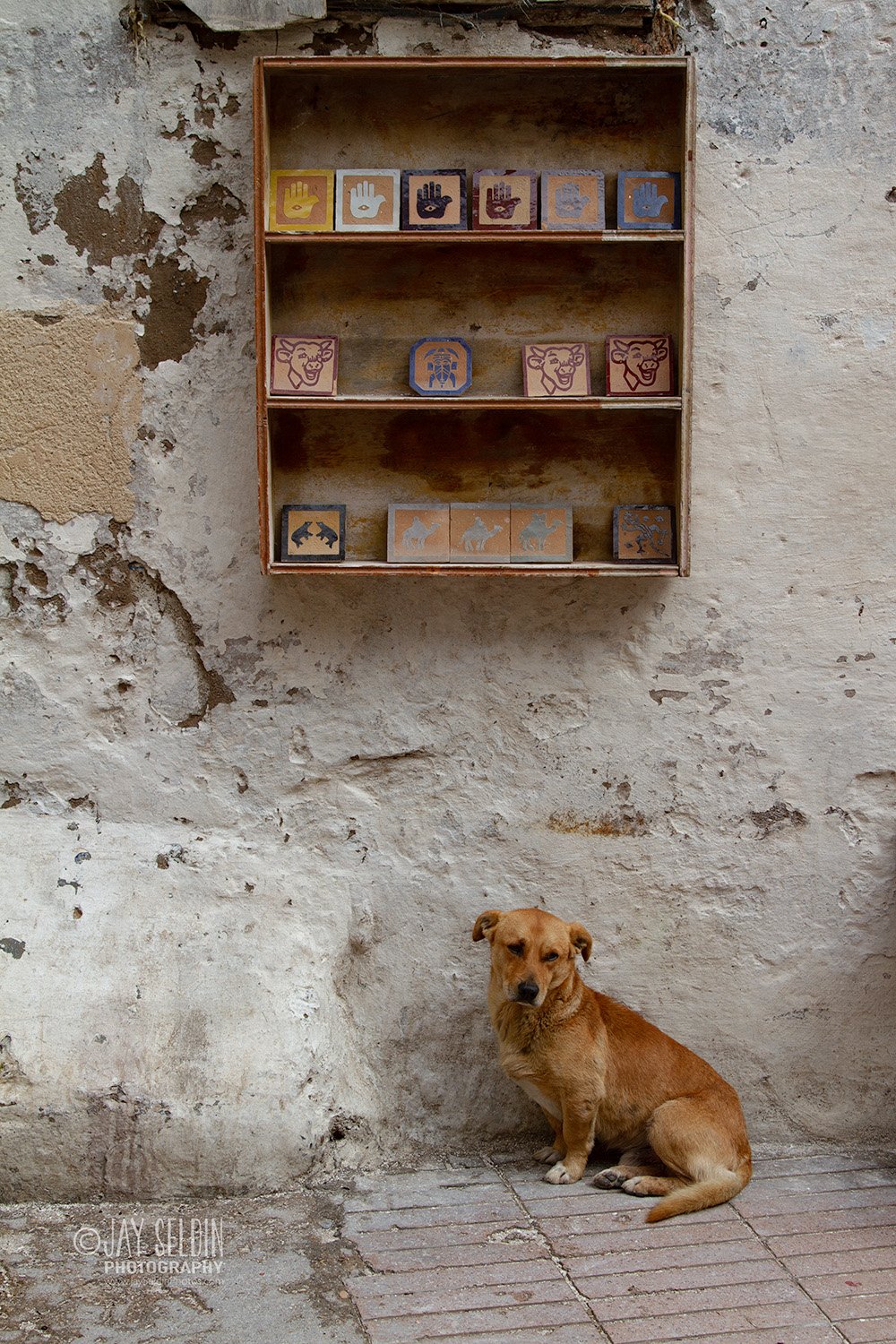 ©ig bDog + Wood Blocks Morocco_MG_1918.jpg