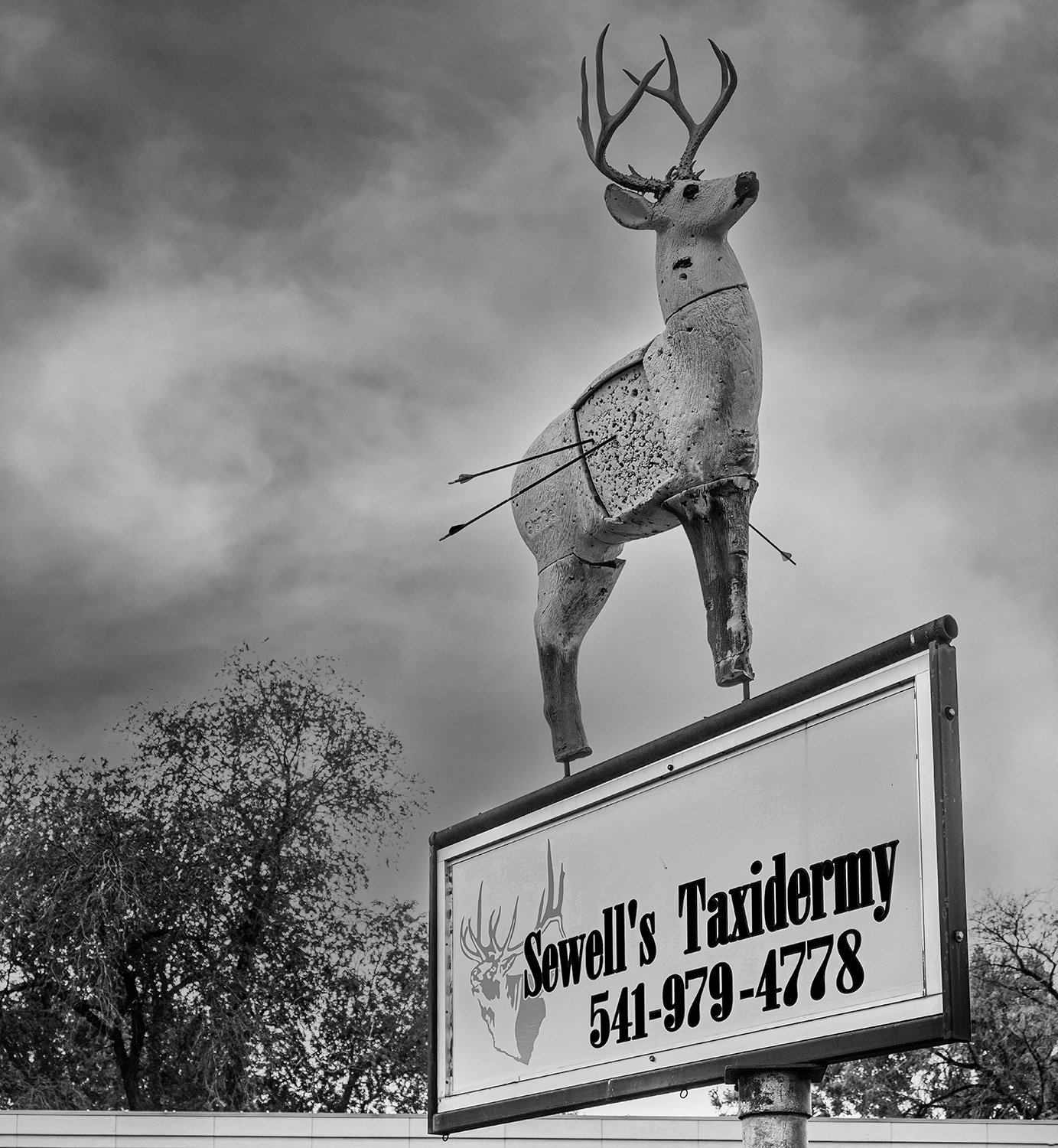 WS 2Book••BW 2••C Sewell Taxidermy Burns, OR 2019_DSF9959 copy.jpg