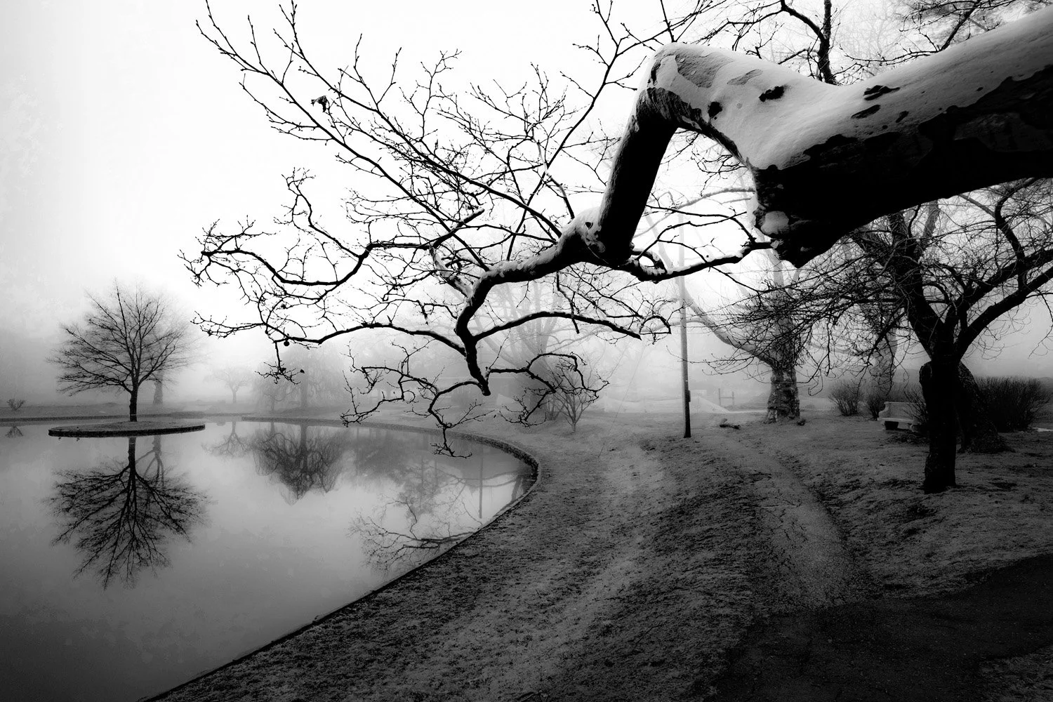NEW 2•BW edgemont park 2018_DSF0063.jpg