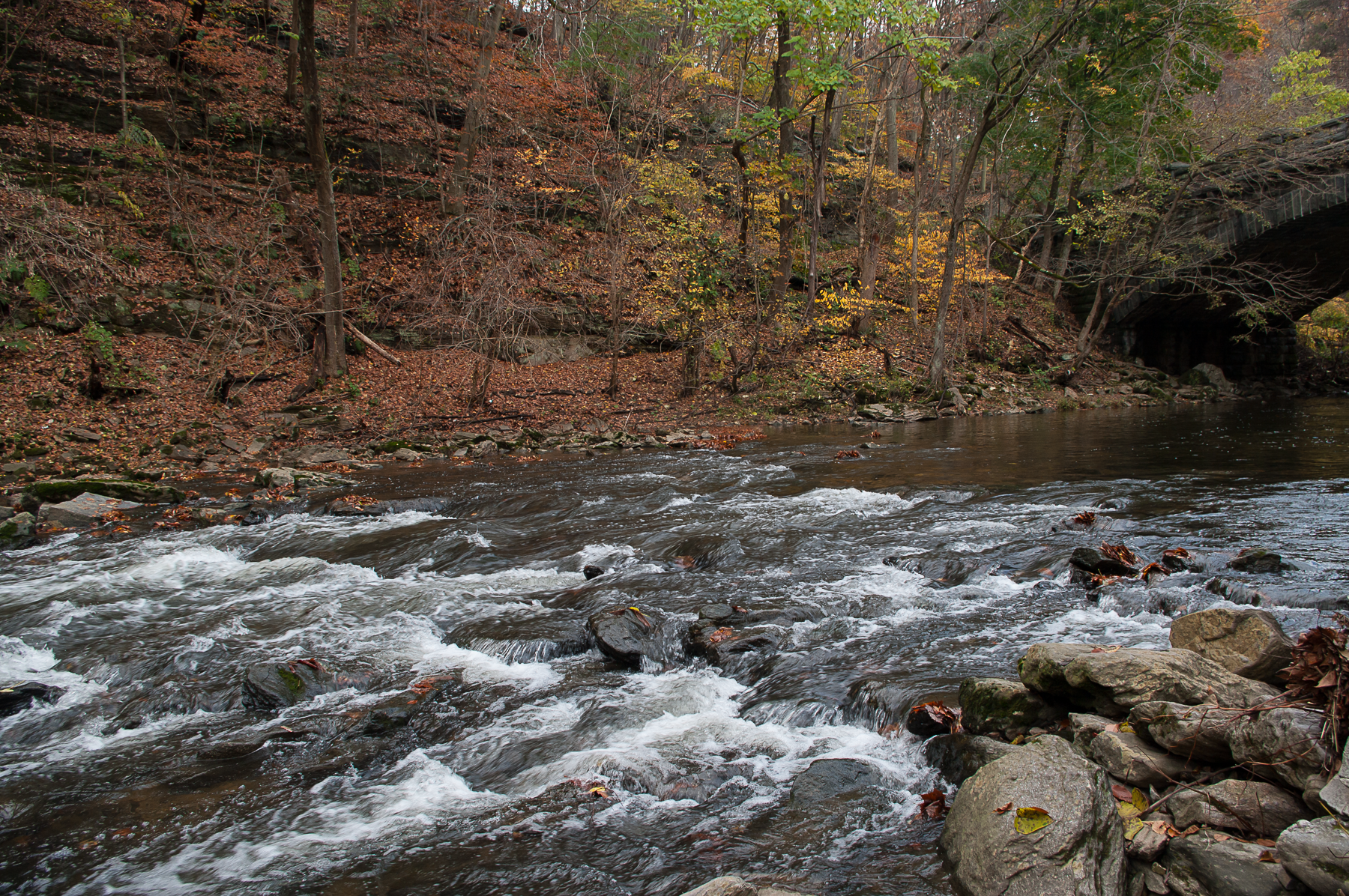 20081031-park 227.png