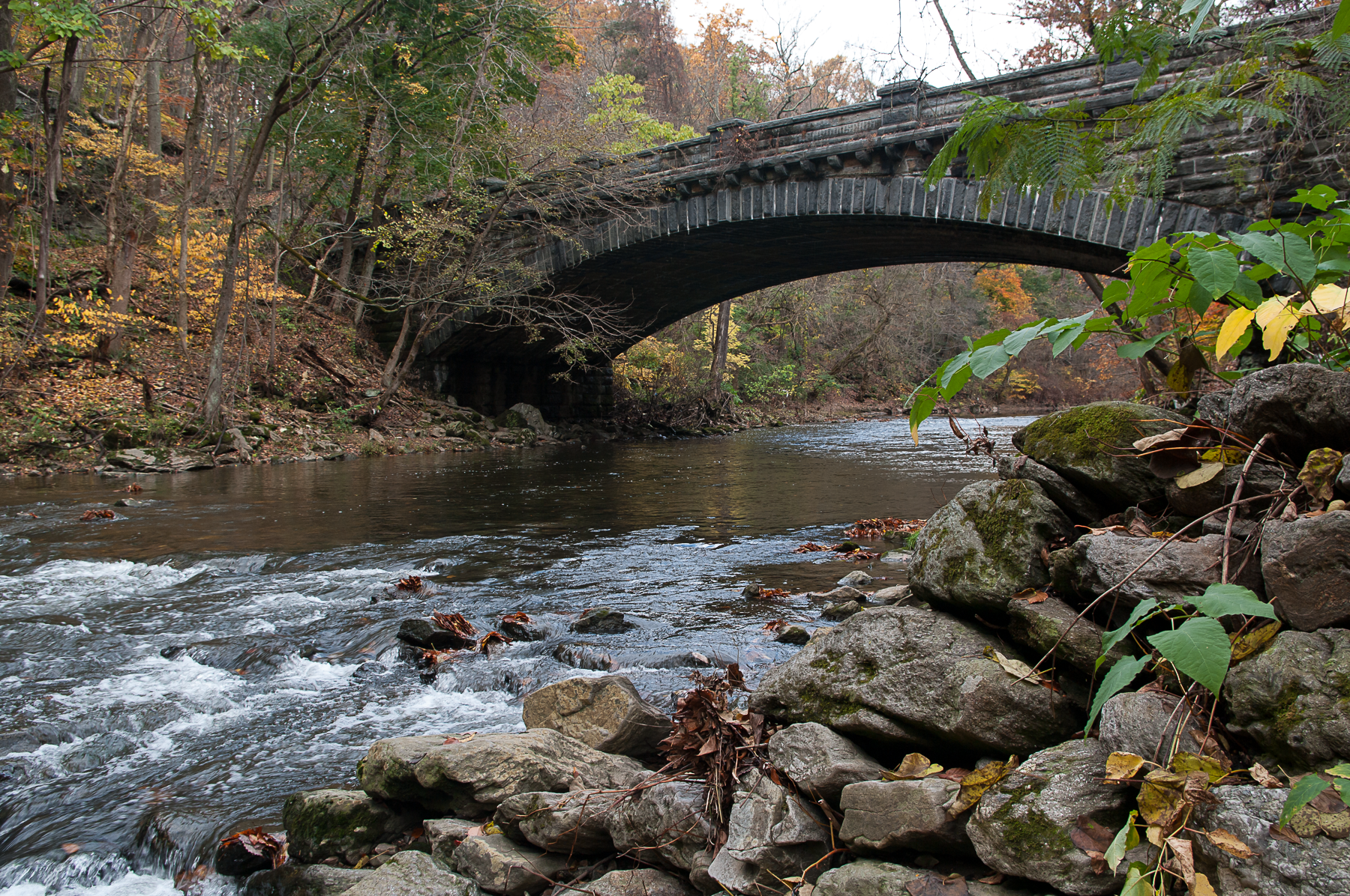 20081031-park 221.png