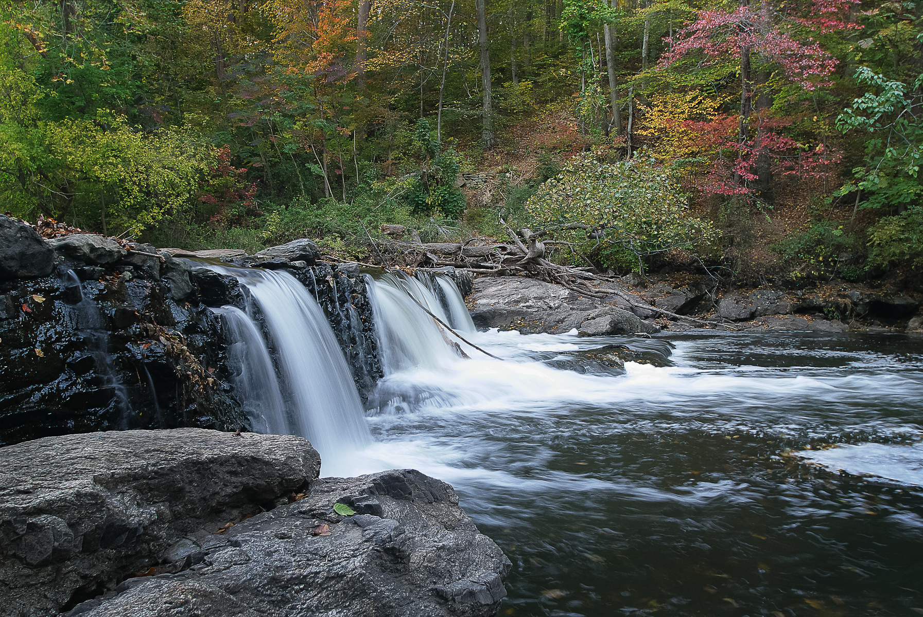 20101023-park 114.png