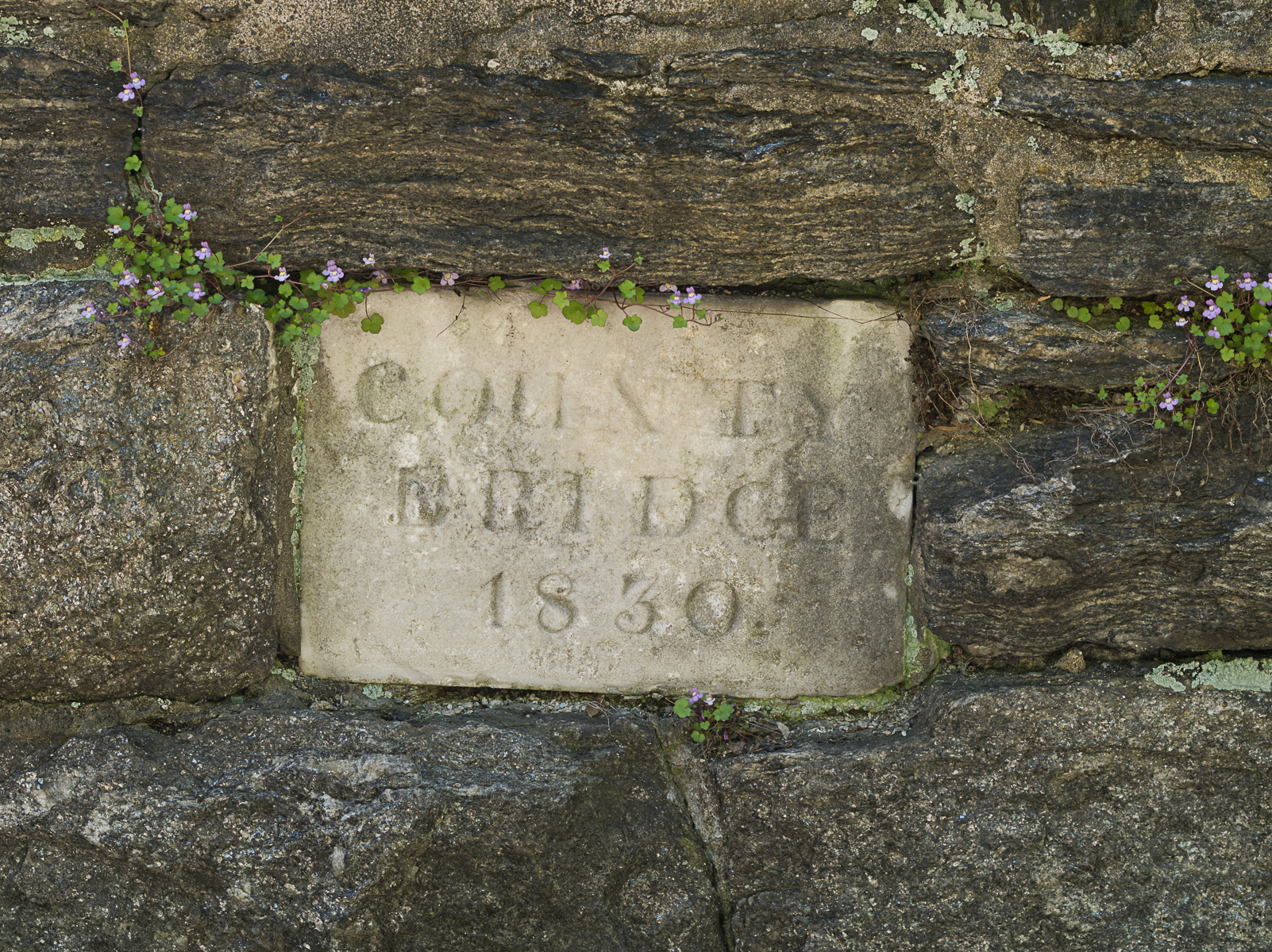 20130504-park 023.png