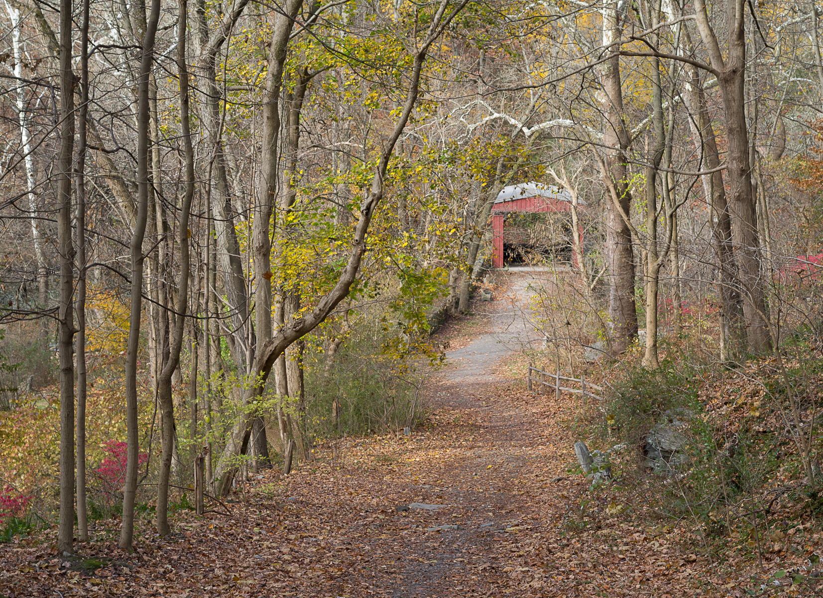 20131108-park 048.png