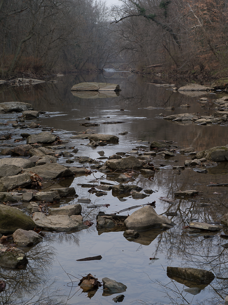 20131204-park 014.png