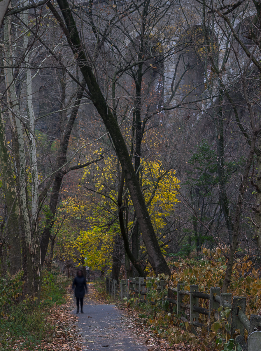 20141116-park 015.png