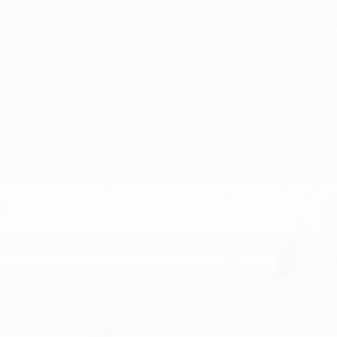 giphy (5).gif