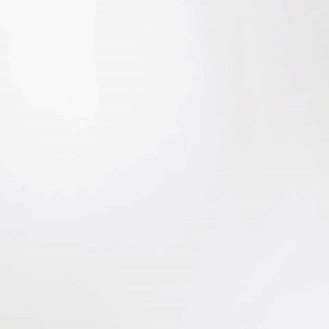 giphy-2.gif