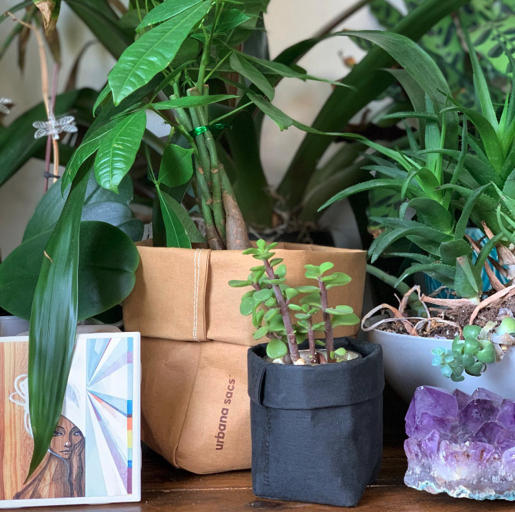 Screen Shot 2022-07-11 at 4.30.38 PM.png