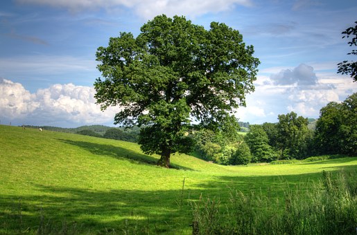 Countryside1.jpg