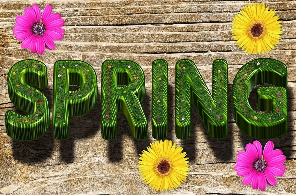 spring-flower-wood-cecf55.jpg
