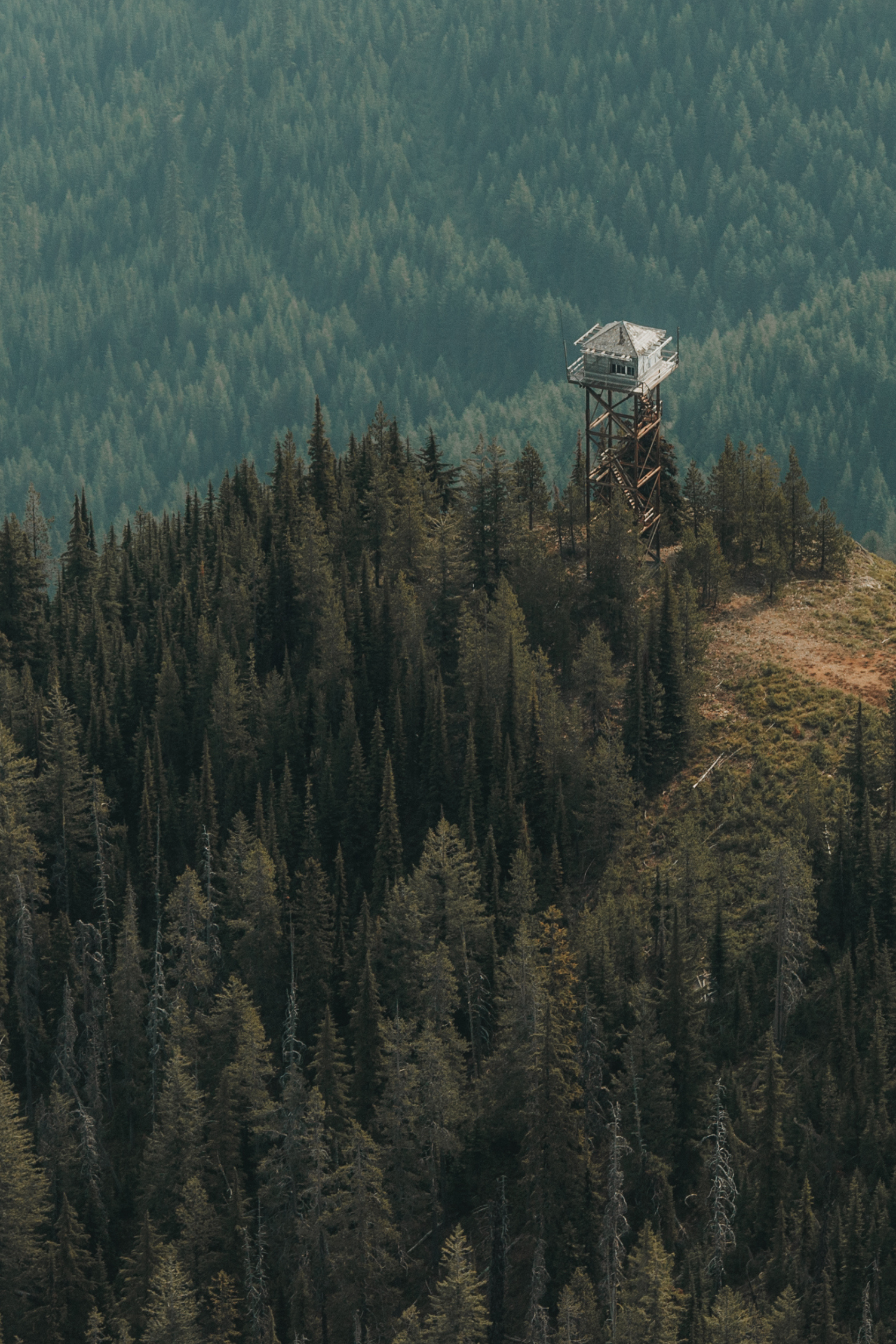 A forested mountain landscape with a wooden observation tower on top of a hill.