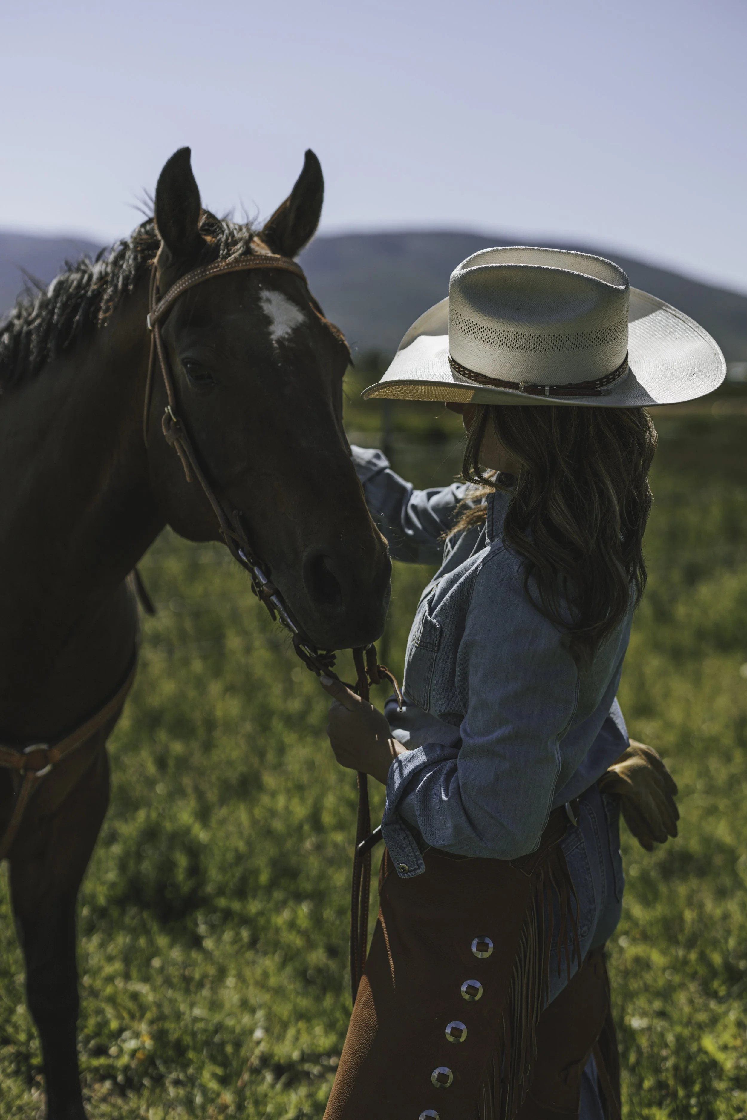 Bolt Ranch Color -13.jpg