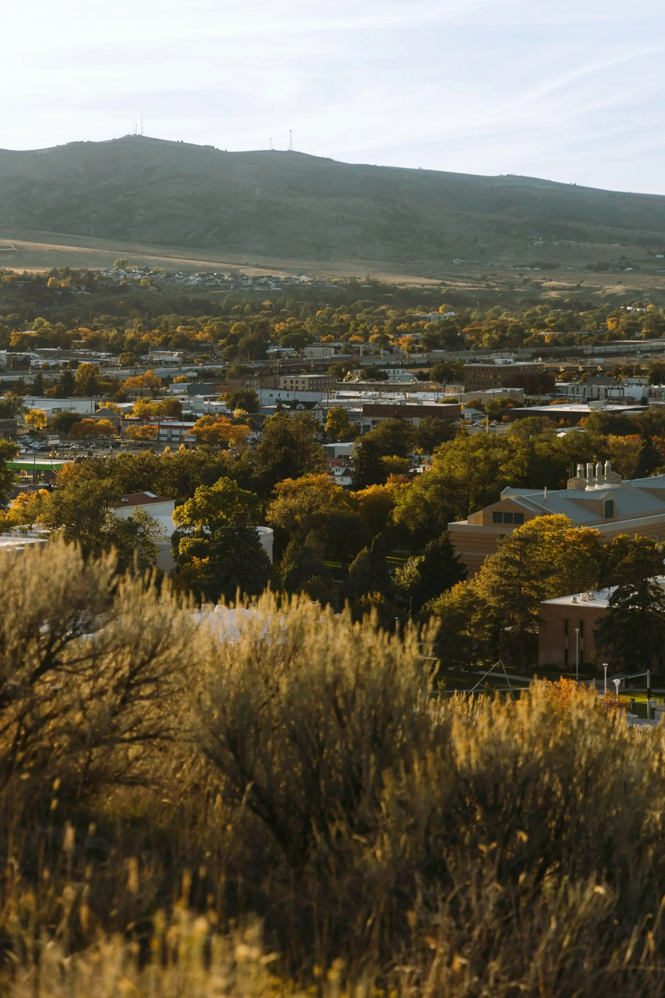 A cityscape with a mix of buildings and trees, with a mountain in the background during daytime.