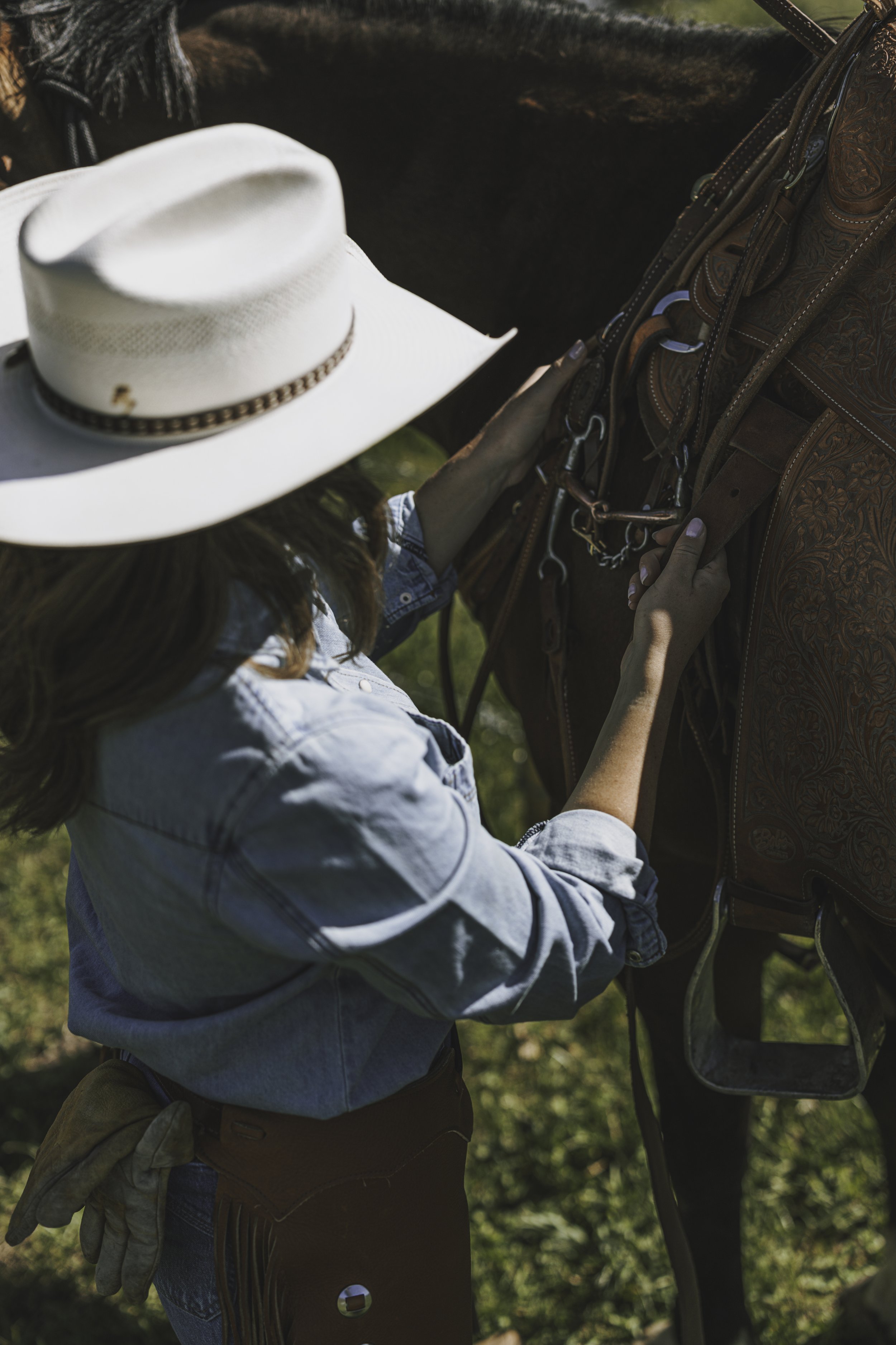 Bolt Ranch Color -3.jpg