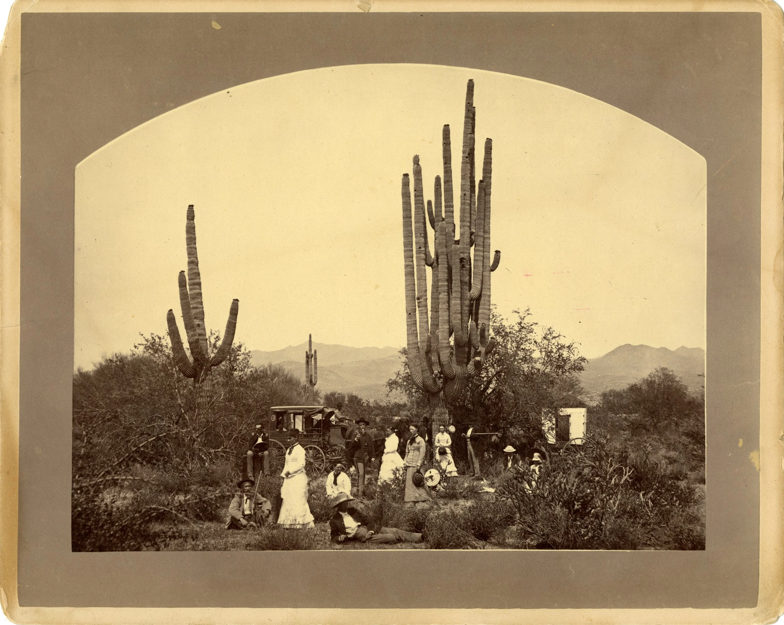 Military Wives in Arizona Territory
