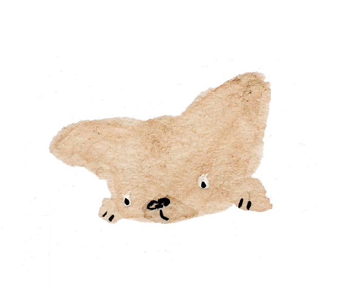 mrjoneswatercolor7.gif