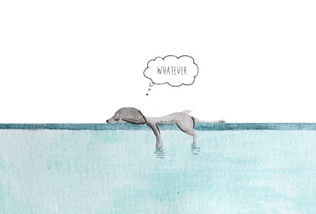 DogDaysSummer.gif