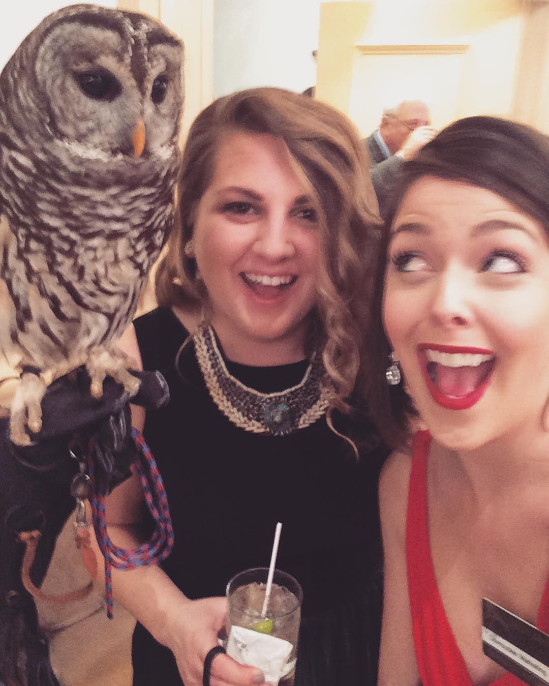 Sometimes you put on a ball gown and hang with an owl. #SEWE2016 #omwerkperks