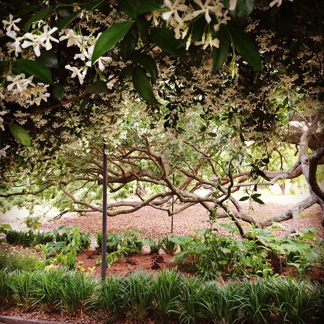 Hampton Park