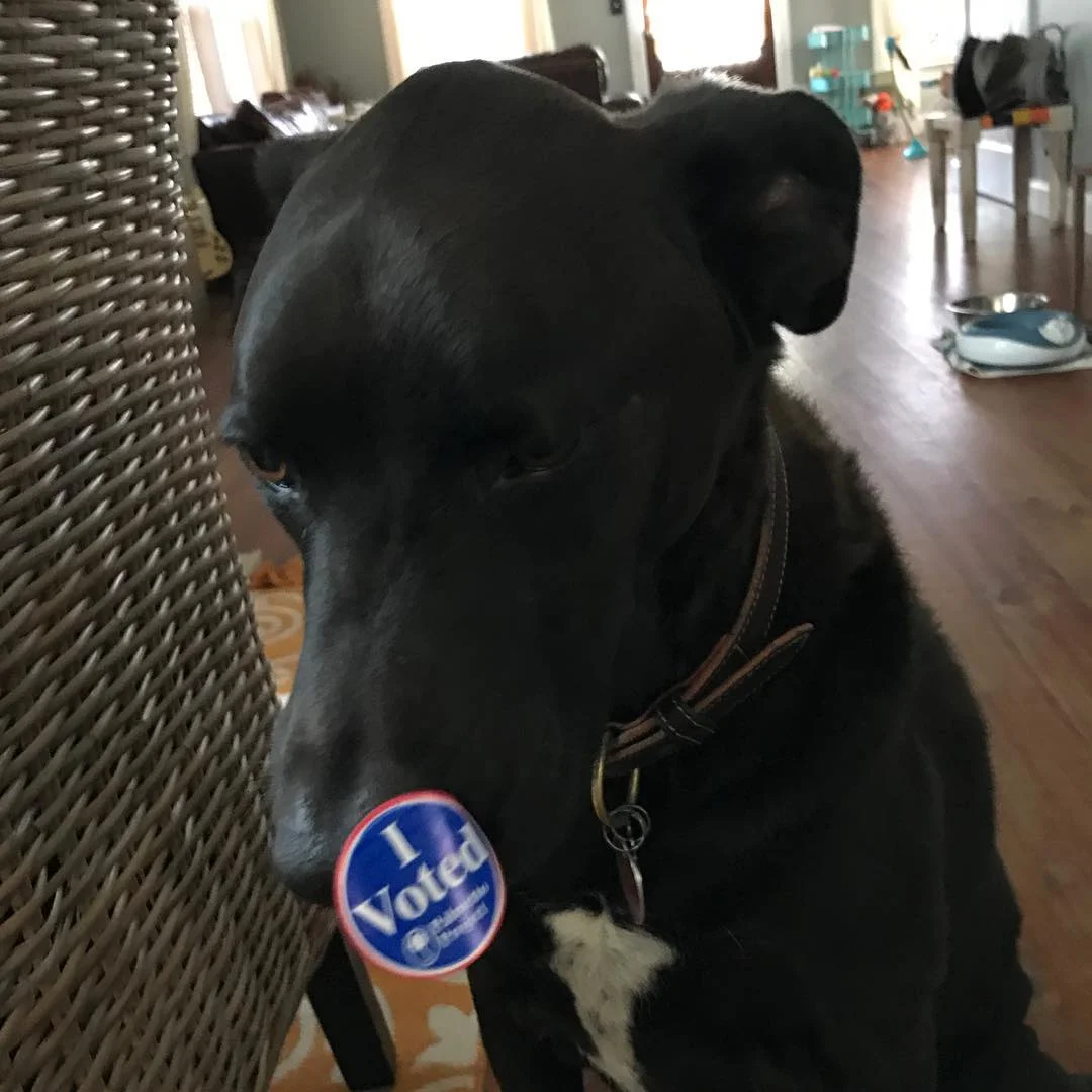 I voted