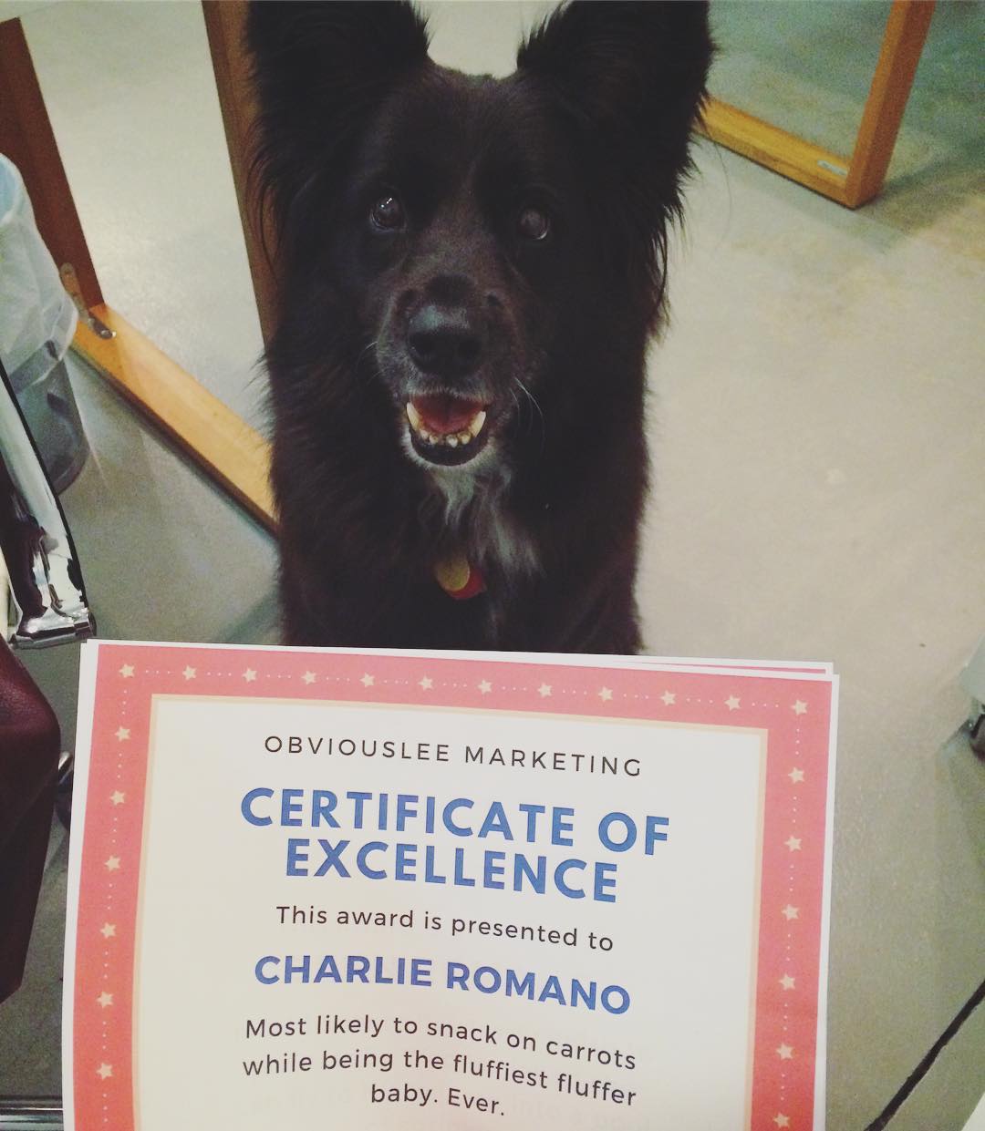 Big day today for Charlie. π #omwerkperks
