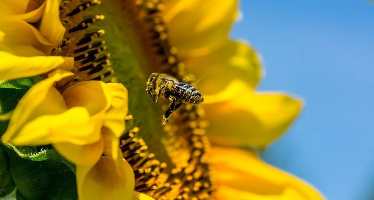 The New Small Business of Divorce