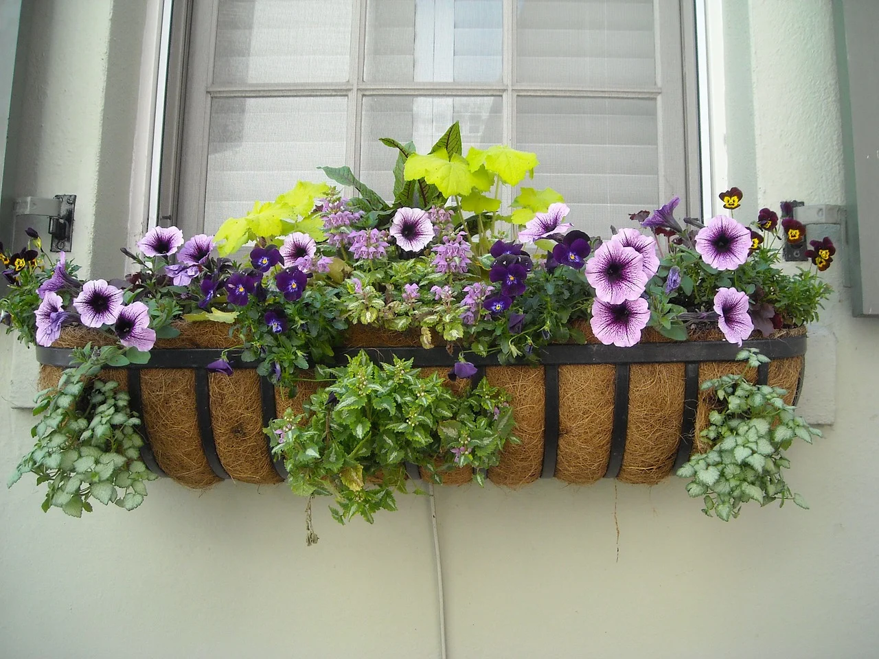 5 Ways to Love Your Home Again