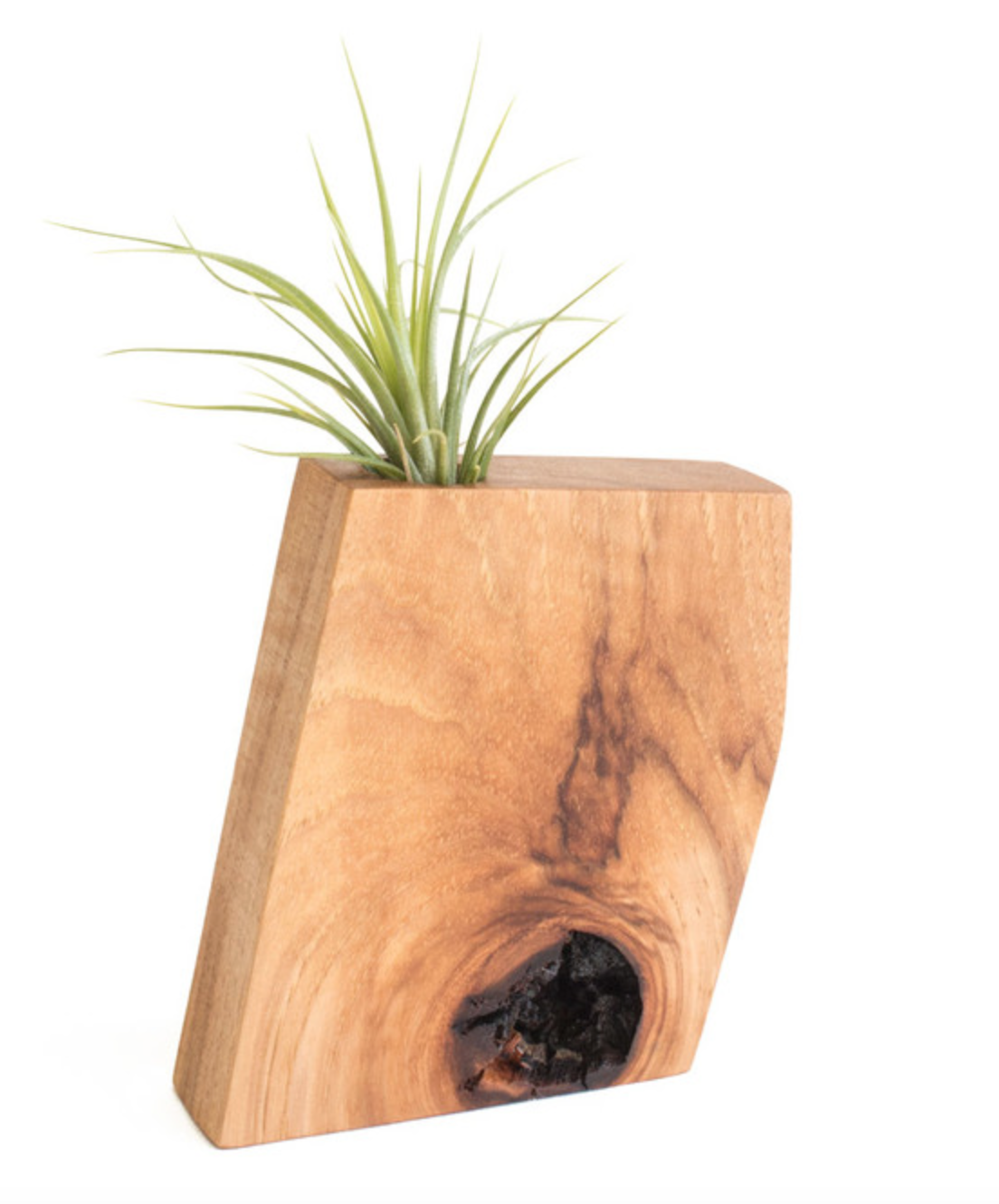 Wooden Air Plant Holder, Hickory