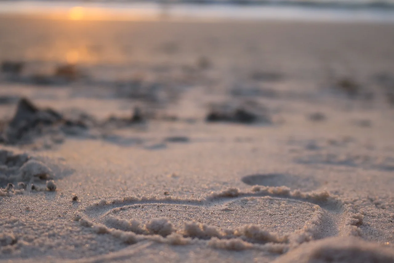 Learn About Love at the Beach, With Others