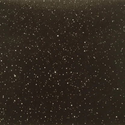 Vija Celmins