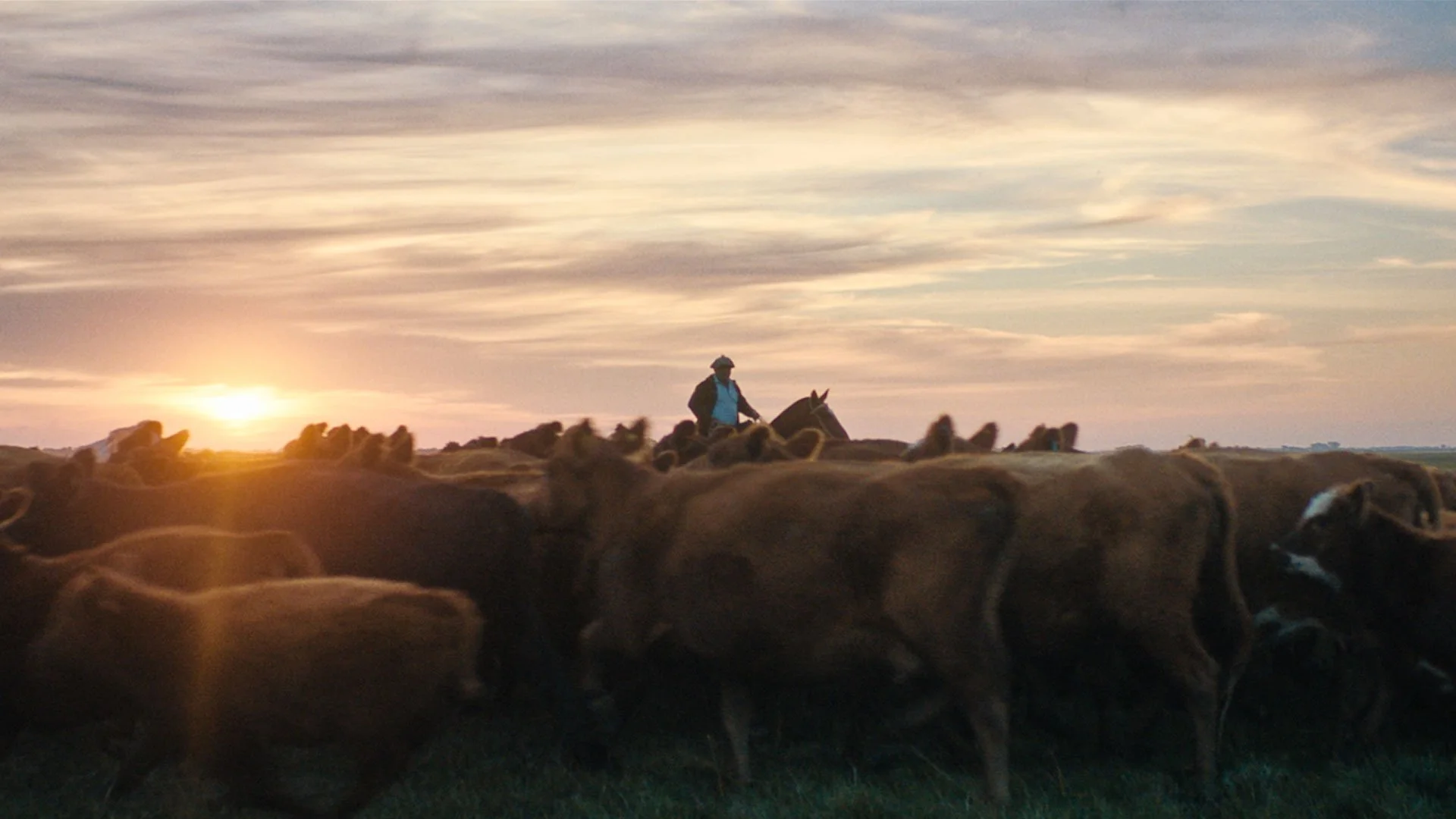 Carrefour 'Sowers' | Ed McCulloch