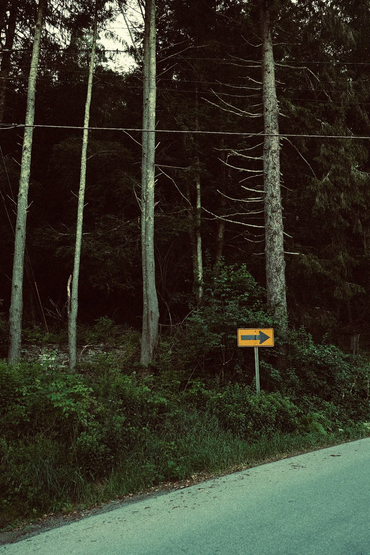 Catskill Mtns, NY - USA