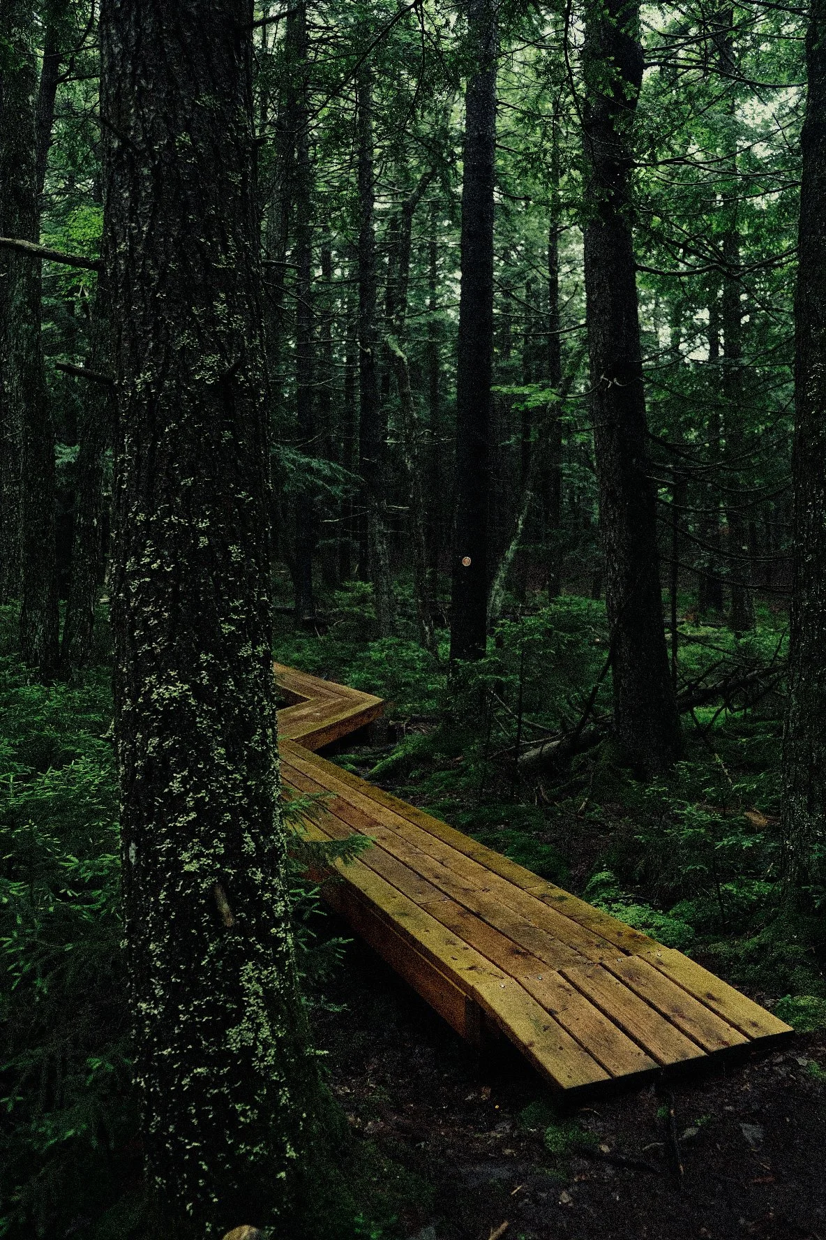 Big Indian, NY - USA