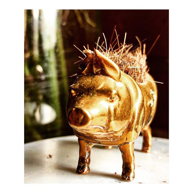 What every guy needs: an engagement pig. This particular pig is a 19th C. Brass and Boar bristle quill cleaner, as my guy is partial to using fountain pens. To each his own. #brasspig #antiquefind #engagementpig