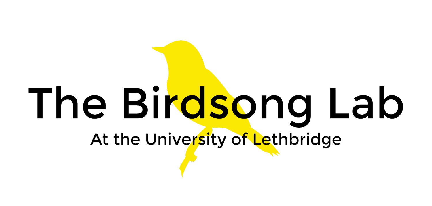 The Birdsong Lab