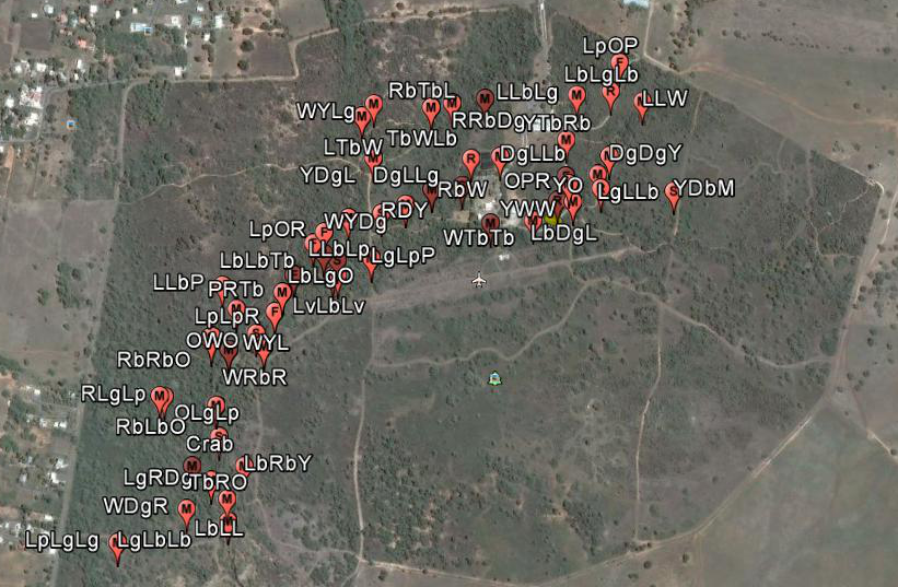 Field work in Puerto Rico