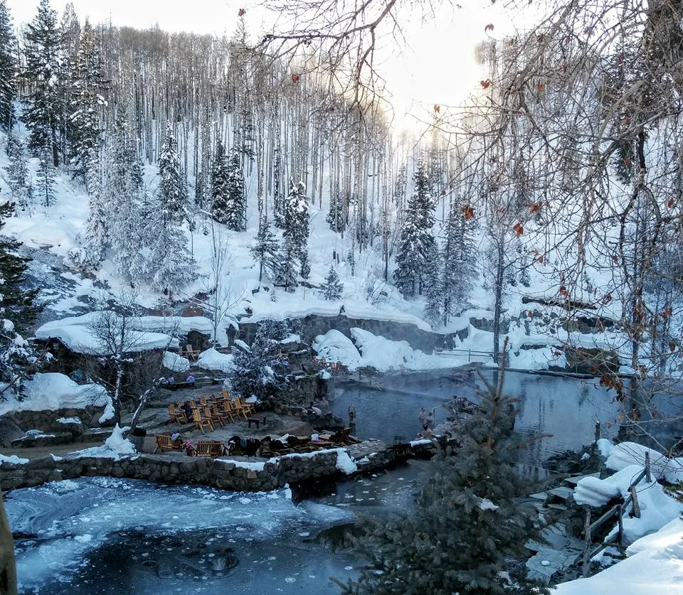 The 39th Winter Animal Behavior Conference