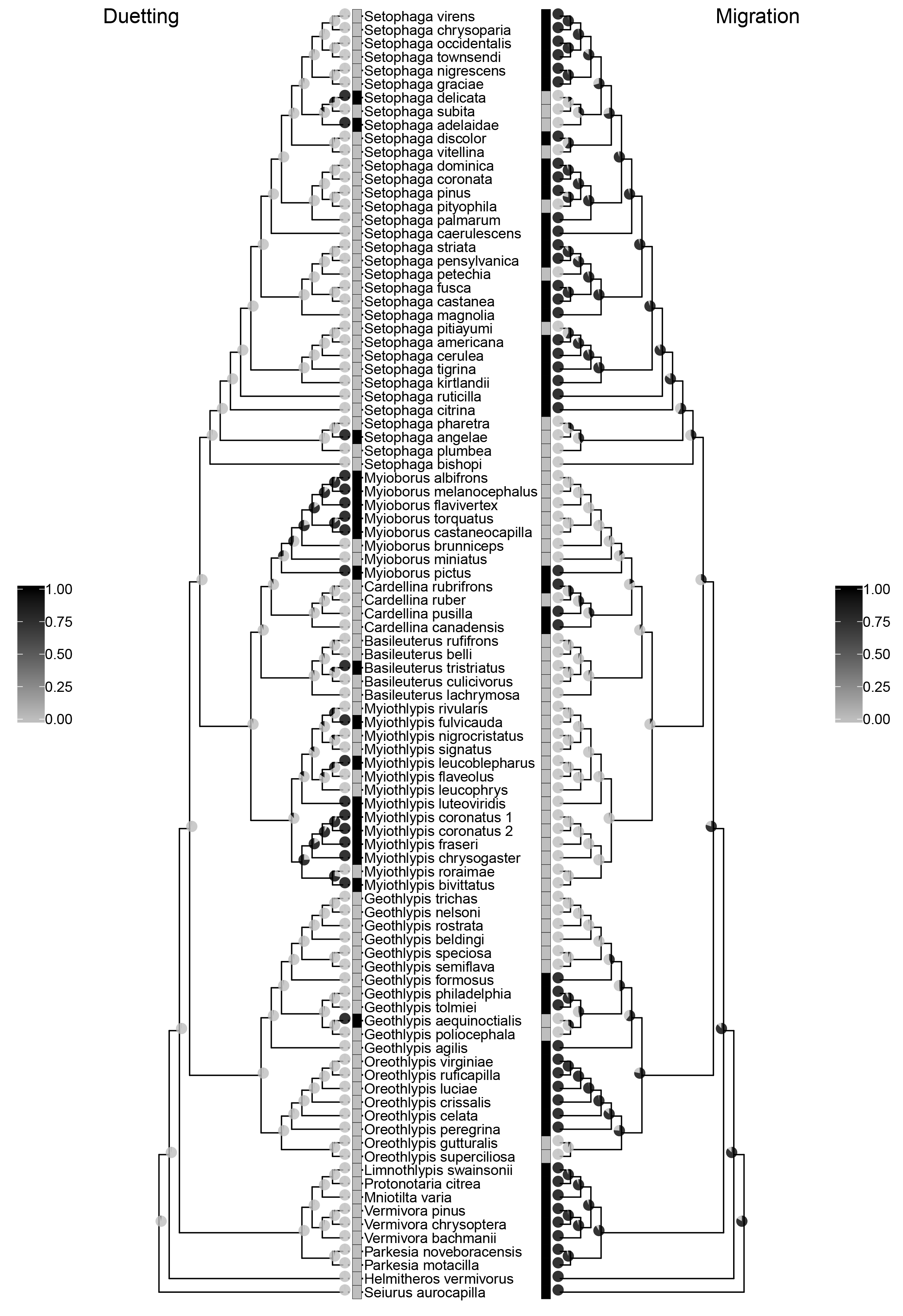 Duet Evolution Paper