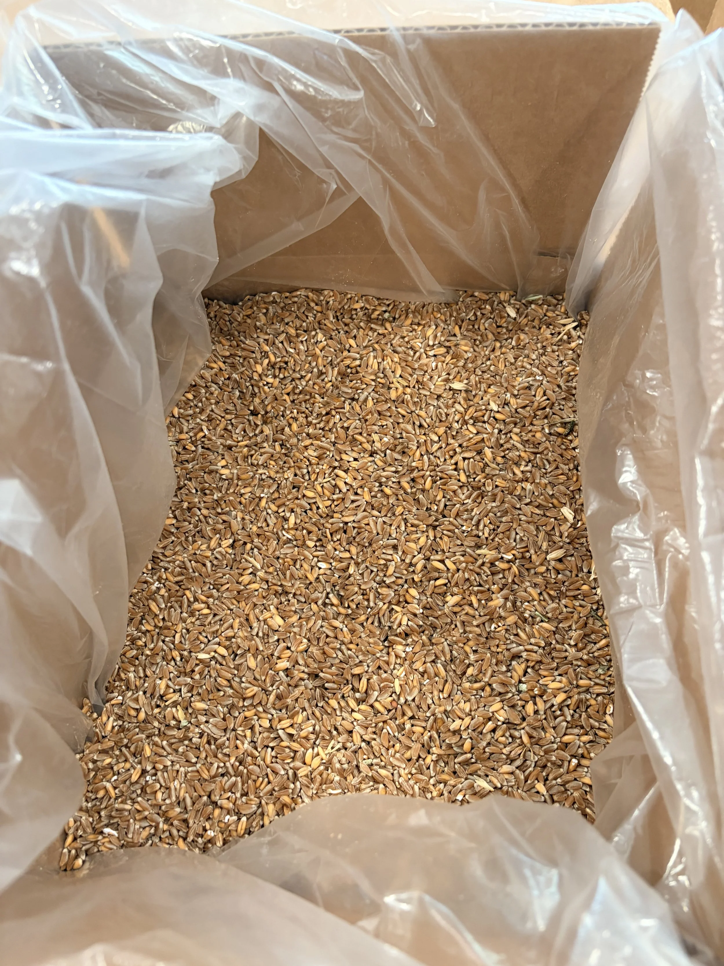 Emmer Packaging.jpg
