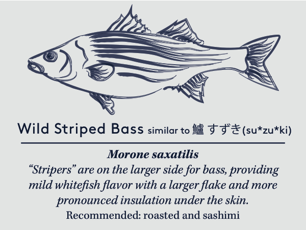 stripercard copy (1).jpg