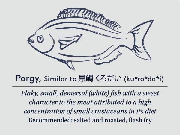 porgycard copy (2).jpg