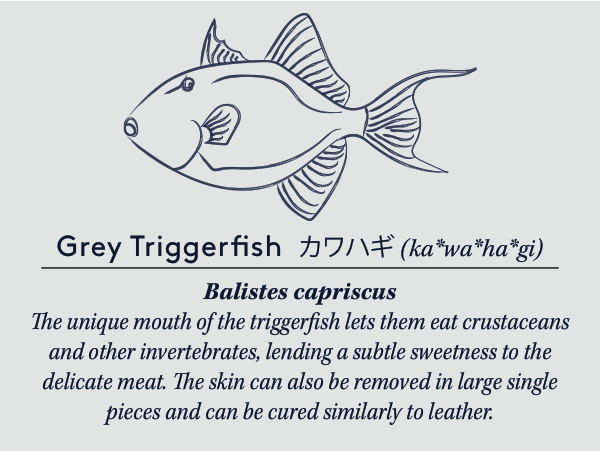 greytriggercard copy (1).jpg