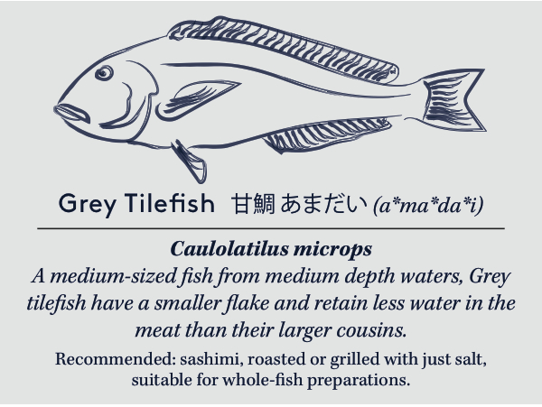 greytilefishcard copy (3).jpg