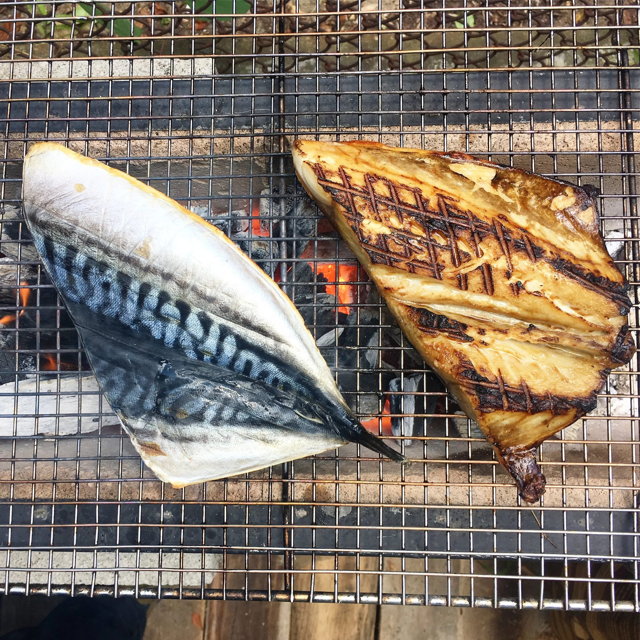 Osakana